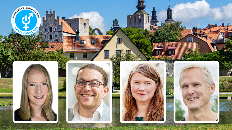 Emelie Österqvist, Carlos Pettersson, Johanna Lakso och Patrick Dahl, från Energikontoren Sverige deltar i jämställdhetsmärkta panelsamtal under Almedalsveckan.