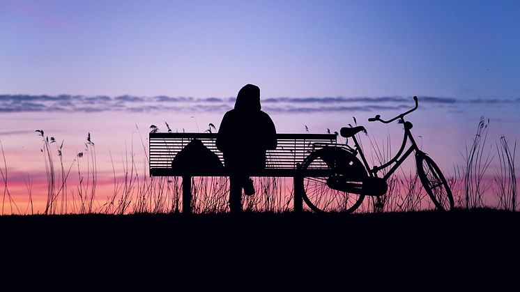Ensamhet kopplas till ökad sjukdomsrisk – ny studie visar samband med både psykiska och fysiska diagnoser Pixabay CCO