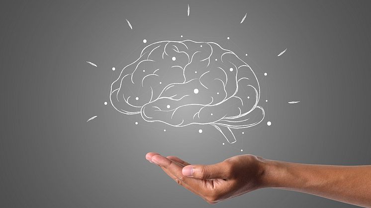 Hjärnavbildningsstudie kopplar minskad synaptisk densitet till sociala svårigheter vid autism Pixabay CC0