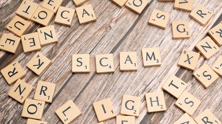 Don’t get stung in licence fee scam