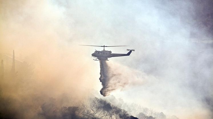 ﻿Global Risks Report 2025: Conflict, Environment and Disinformation Top Threats