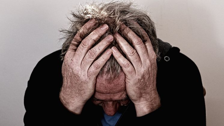 Sårbar narcissism kopplad till ökad PTSD-risk hos veteraner Pixabay CCO