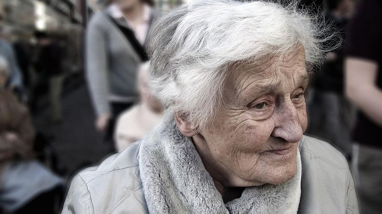 Flexibelt tänkande kan avslöja tidiga tecken på Alzheimers – även hos friska äldre Pixabay CCO