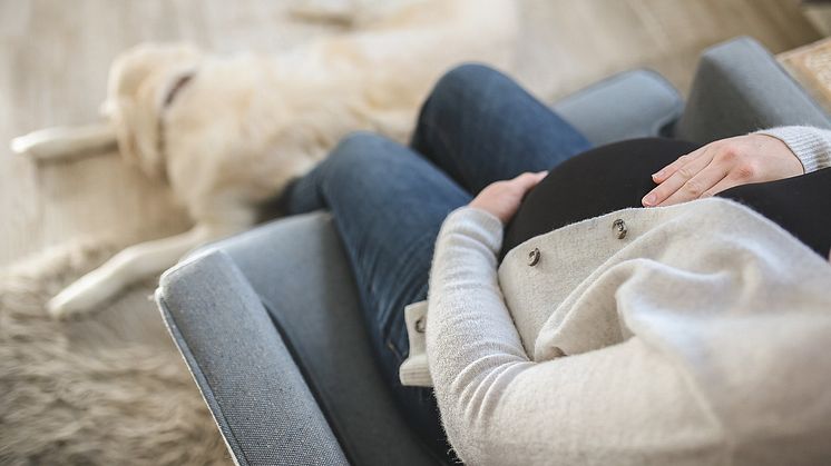 Luftföroreningar under graviditeten kan skada barnets hjärna Pixabay CC0