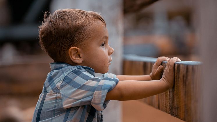 boy-8209561_1280.jpg