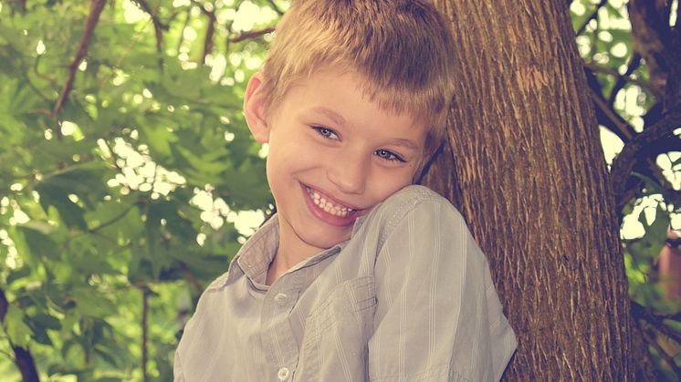 Första Direkta Beviset på Synaptisk Skillnad vid Autism Pixabay CC0