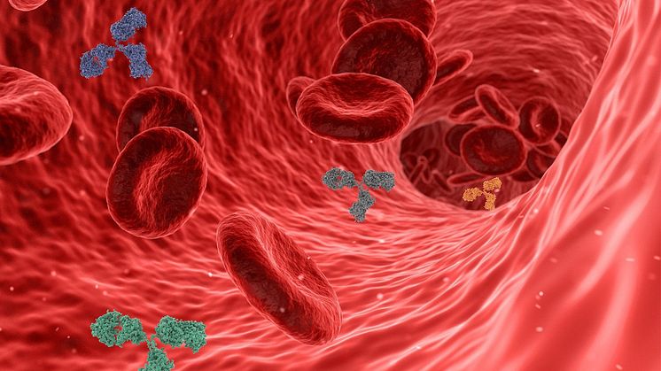 Studie visar: Immunförsvaret kan påverka risken för ADHD Pixabay CCO