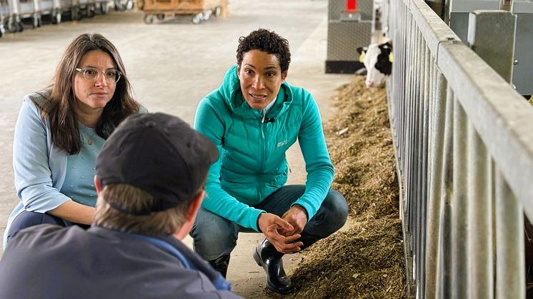 Schauspielerin Annabelle Mandeng (Tatort, Navy CIS, SOKO Leipzig) als "Landwirtin für einen Tag", zusammen mit Lea Fließ, Geschäftsführerin des Forums Moderne Landwirtschaft, erfährt, wie Kühe am besten gefüttert werden. Foto: FML 