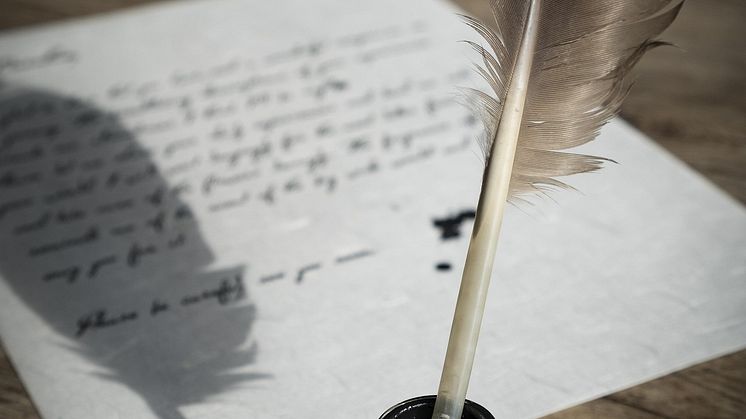 bird-feather-2505307_1920.jpg
