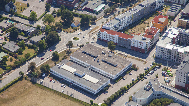Vildanden.png