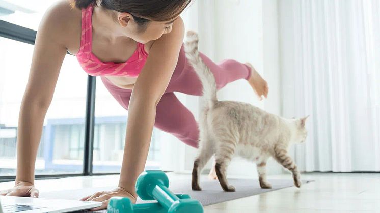 How To Prevent Injuries During Your Fitness Routine - Tips From Doctor