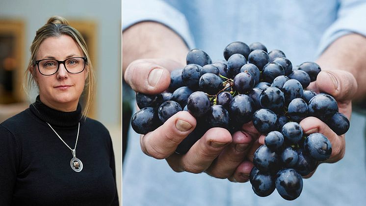 Ett historiskt besked, det säger Sara Sundquist, näringspolitisk expert på Livsmedelsföretagen, om EU-kommissionens klartecken för svensk gårdsförsäljning.
