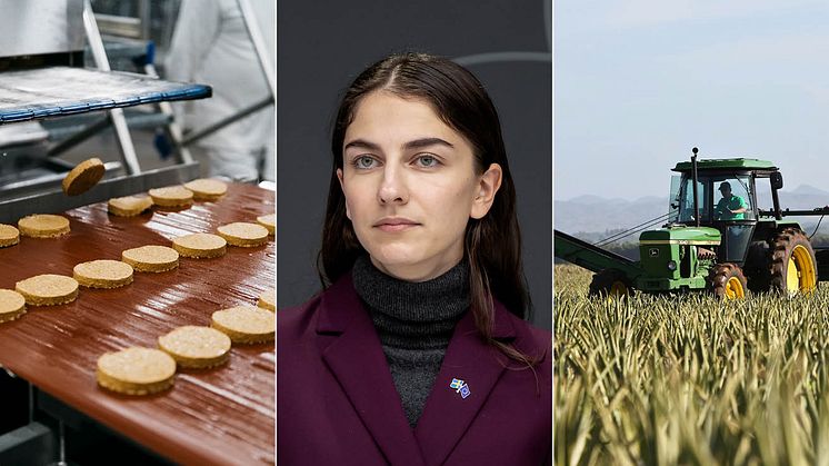 En snabbare och enklare miljötillståndsprocess är avgörande för att livsmedelskedjan ska kunna möta framtidens utmaningar.