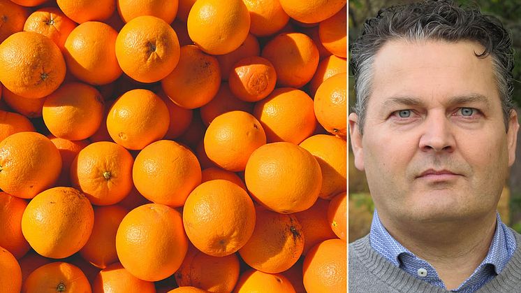 Apelsinjuice från USA är i stort sett frånvarande på den europeiska marknaden, säger Magnus Berndtsson, ordförande i Svenska Juiceföreningen.