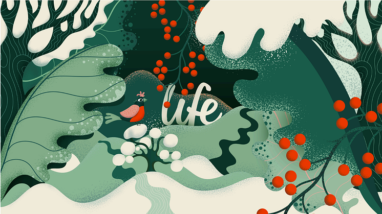 Life_vinter.png