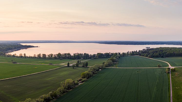 PFAS-halten i fisk från Finjasjön bedöms vara måttlig och indikerar inte någon omfattande lokal påverkan. Fotograf Daniel/Daniel Larsson