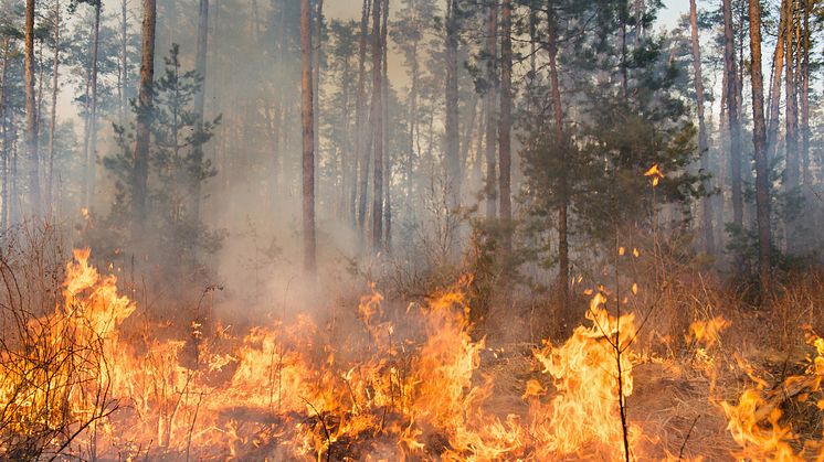 Geografisk data avgörande för brandbekämpning