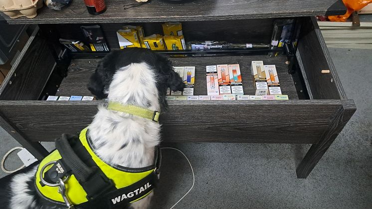 Sniffing out illegal tobacco and vapes