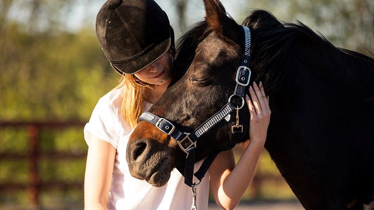 Foto: Lära med Hästar