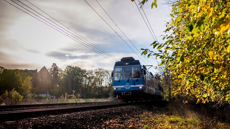 Åk med Roslagsbanan på söndag. Foto: SL.