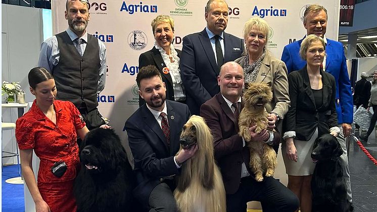 Finalisterna i tävlingen Årets utställningshund 2024. Foto: Petra Junehall