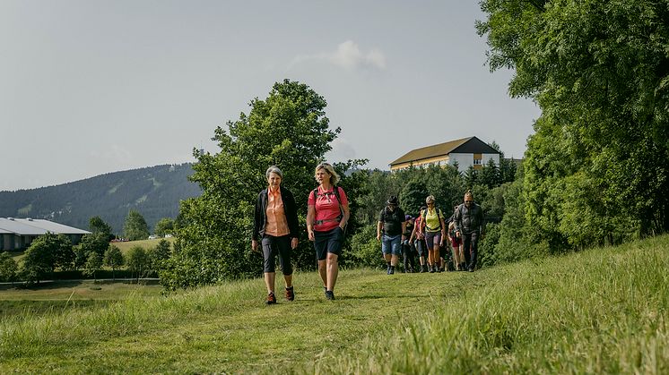 eine Gruppe Wanderer läuft auf einem Wanderweg durch grüne Wiesen, im Hintergrund Hügellandschaft und Häuser