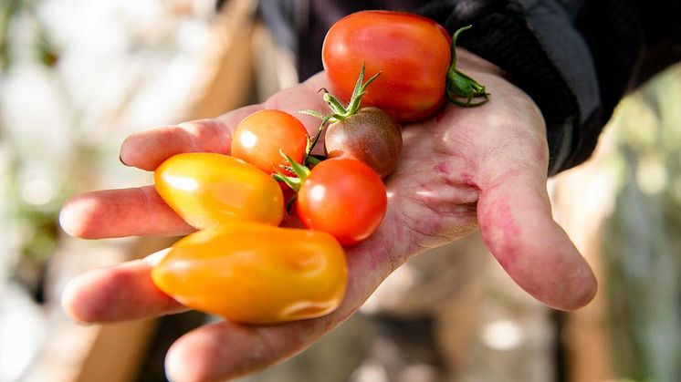KRAV föreslår skärpta regler för arbetsvillkor och tydligare regler för vildväxande produktion