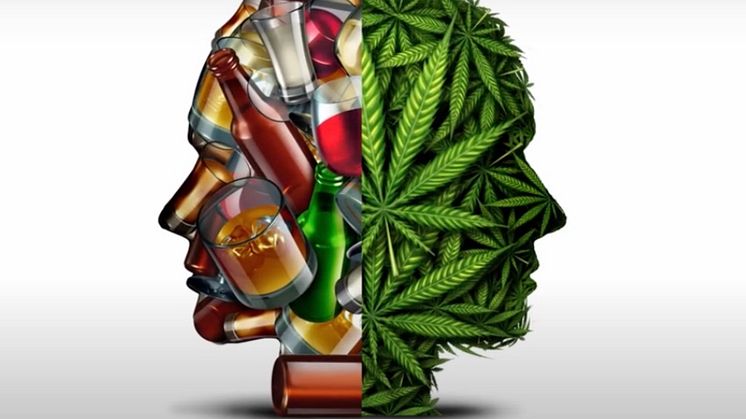 Cannabis auch weiterhin eine Gefahr für die Verkehrssicherheit 