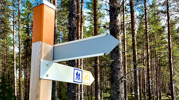 Rågmjölsvägen är en 9 mil lång vandringsled i lågland mellan Malå och Norsjö kommuner. 