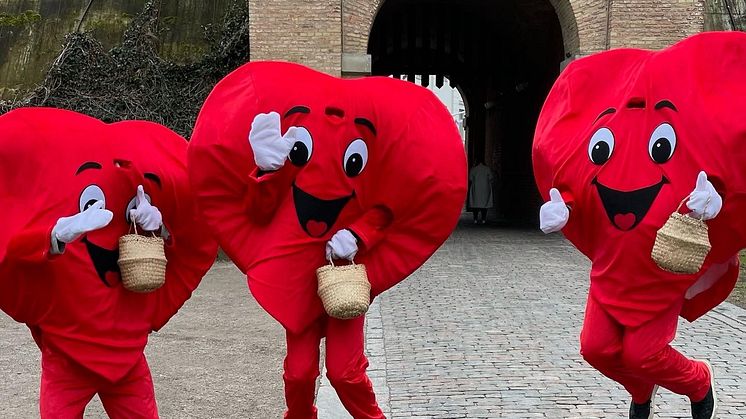 Flera hjärtliga aktiviteter än någonsin på ”Halmstads nationaldag” 