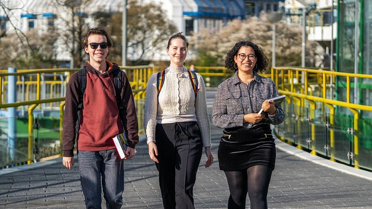 Die Universität Trier bietet mehr als 100 Bachelor- und Masterstudiengänge in rund 30 Fächern an. 