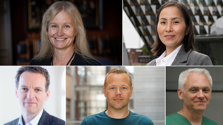 The leaders of the four selected pilot projects in BRIDGE Sweden: Anna Dimberg, Uppsala university, Thuy Tran, KI, Maarten de Château, Buzzard Pharmaceuticals, and Henrik Ahlenius and Johan Bengzon, Lunds university.
