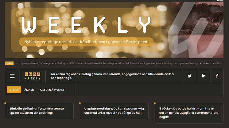 Umeaweekly.se.PNG