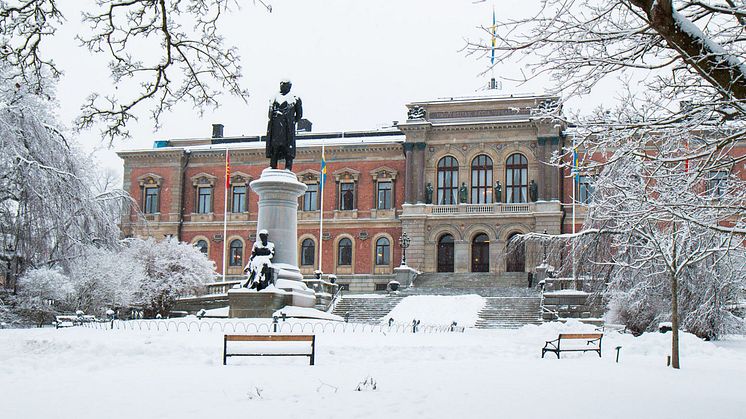 Doktorspromotionen hålls i universitetshuset. Foto: David Naylor