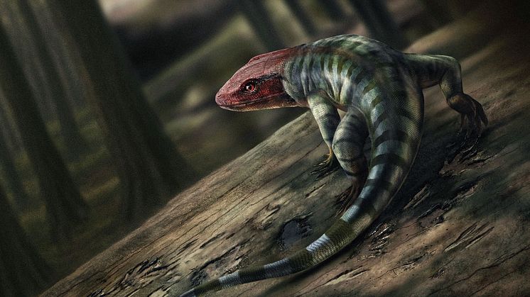 Reptile 16.jpg