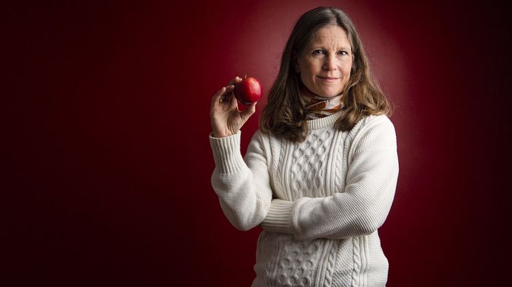 Werlabs stöttar tillsatt professur i prevention vid Karolinska Institutet 