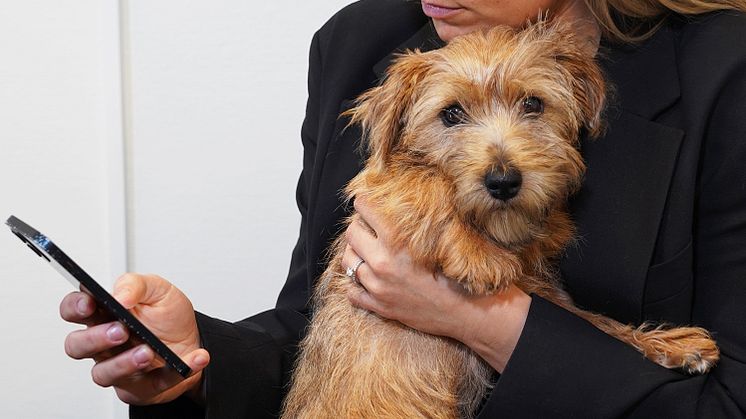 SvelandDistriktsveterinärerna.jpg