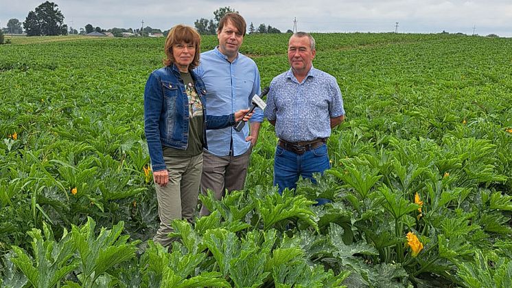 floraPell erschließt erfolgreich den polnischen Biomarkt mit innovativem Schafwolldünger