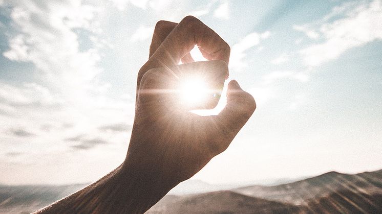 SIGNAL IDUNA Versicherte können mit wenigen Mausklicks die THG-Prämie für ihr Elektrofahrzeug beantragen. Daoudi Aissa/unsplash.com