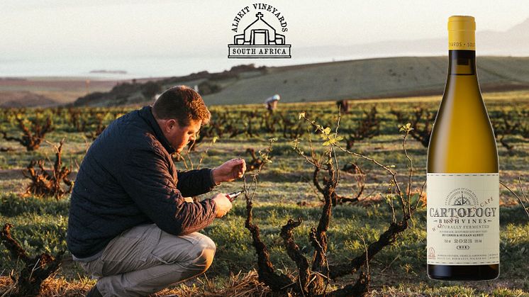 Mytomspunnet vin! Exklusiv lansering på Systembolaget 4 april - Alheit Vineyards Cartology 2023!
