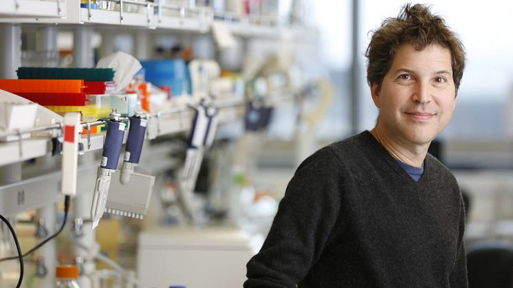 Nobel Prize Laureate David Baker. Photo: UW Medicine