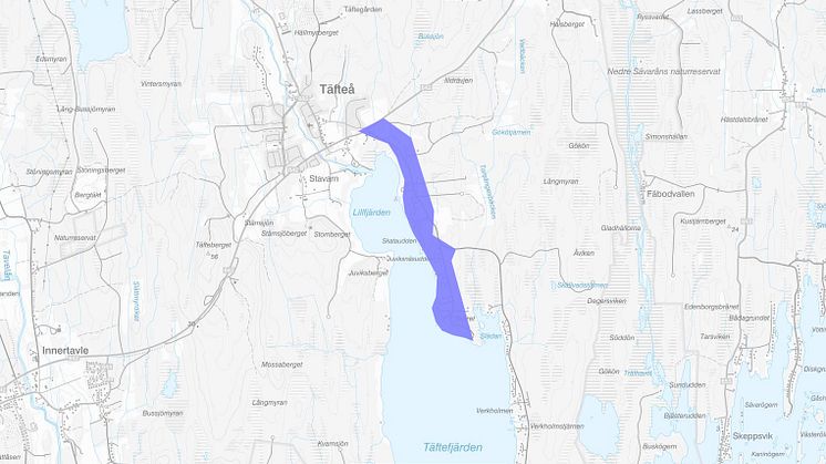 Inriktningsbeslut om medelhög exploatering för Skäret – planeringsutskottet hanterar VA-frågan