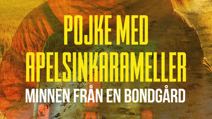 Mystiskt försvinnande skakar den sörmländska idyllen i ”Pojke med apelsinkarameller” av Roland Jansson