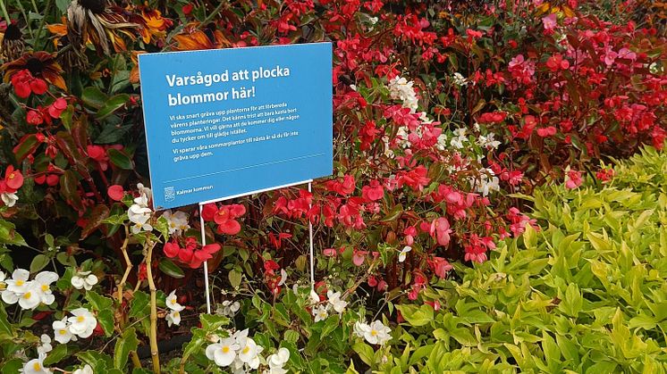 Alla rabatter där du får plocka blommor har en skylt.