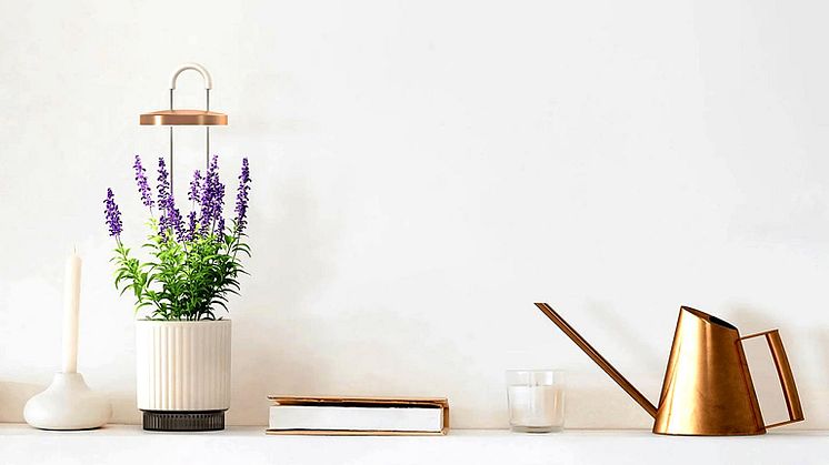 Click & Grow x HydroVase – grönska året runt, helt utan ansträngning