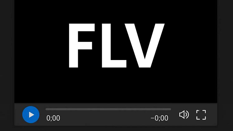 Datei FLV abspielen