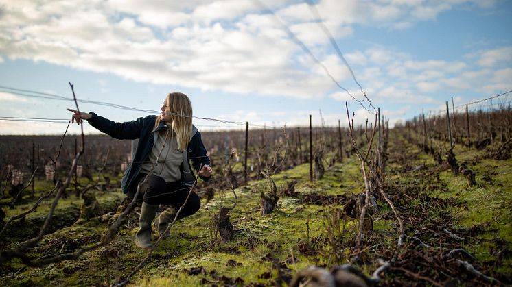 Alice Tétienne, Cellar Master på Champagne Henriot