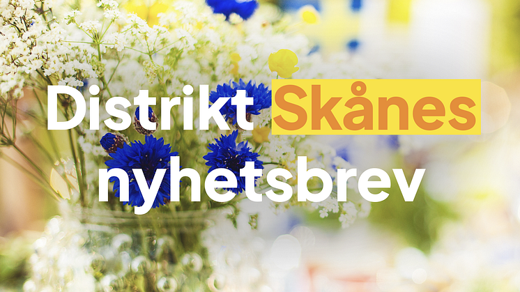SD Skåne nyhetsbrev juni 2025