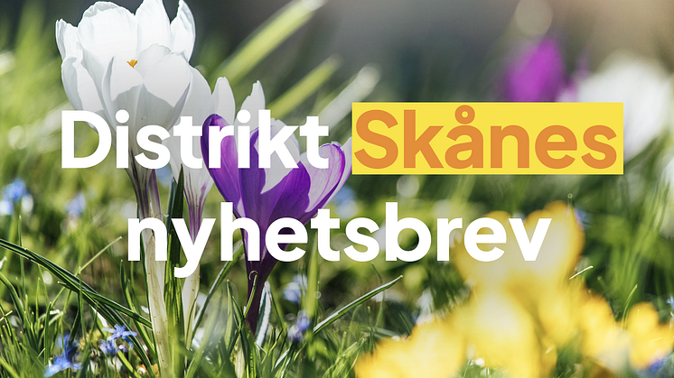 SD Skåne nyhetsbrev april 2025