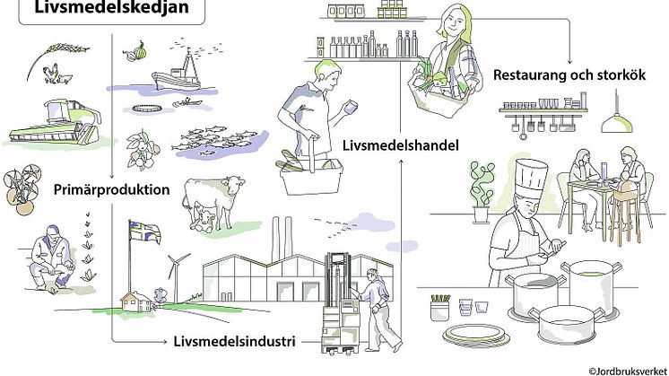 Livsmedelskedjan